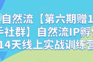 瑶瑶自然流【第六期赠1年孵化手社群】自然流IP孵化手「14天线上实战训练营」