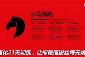 小马快跑引流培训高级课：教你被动引流日均100+精准客户，让你微信粉丝每天爆满