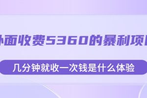 外面收费5360的暴利项目，几分钟就收一次钱是什么体验，附素材