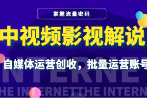 中视频影视解说—掌握流量密码，自媒体运营创收，批量运营账号