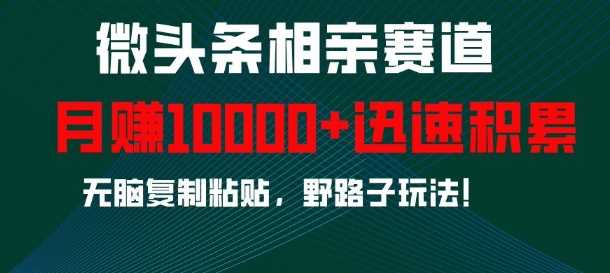 微头条相亲赛道,迅速积累,无脑复制粘贴,野路子玩法,月入1w