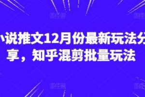 小说推文12月份最新玩法分享，知乎混剪批量玩法