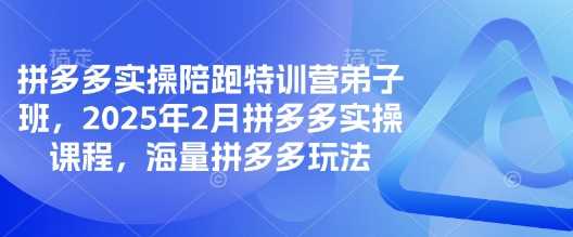 拼多多实操陪跑特训营弟子班,2025年2月拼多多实操课程,海量拼多多玩法
