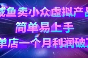 咸鱼卖小众虚拟产品，简单易上手，单店一个月利润破W