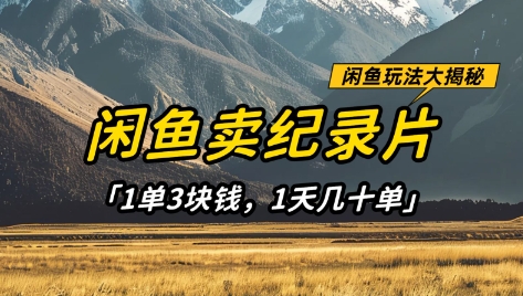 闲鱼卖纪录片1单3块钱,1天几十单,项目稳定有潜力
