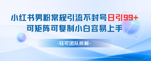 小红书男粉常规引流不封号日引99+变现简单 可矩阵可复制小白容易上手