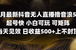 2025五月最新无人直播撸音浪单日产出5张+实操教程【揭秘】