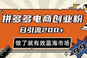 拼多多引流电商创业粉，日引200+，可矩阵放大，做了就有效【揭秘】