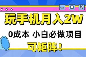 （14879期）玩玩手机月入20000+，0成本小白必做项目，可矩阵