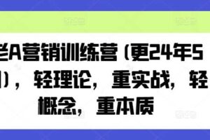 老A营销训练营(更25年6月)，轻理论，重实战，轻概念，重本质