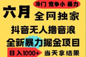 25年6月高爆抖音无人直播最新撸音浪掘金项目，小白可做，无脑日入1k+，门槛低可批量矩阵【揭秘】