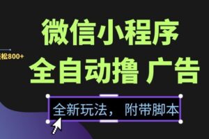 （15134期）微信小程序挂机撸广告，全新玩法，新手一天轻松800+【附带脚本】
