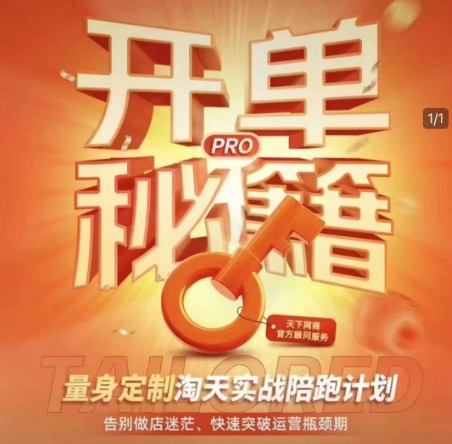 淘宝开单秘籍PRO,量身定制淘天实战陪跑计划,告别做店迷茫、快速突破运营瓶颈期(更新6月)