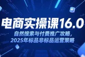 （15262期）淘宝电商运营课16.0，自然搜索与付费推广攻略，2025年标品非标品运营策略