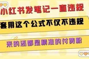 小红书发笔记一直违规，套用这个公式不仅不违规，来的还都是精准的付费粉