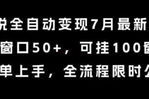 小说全自动变现7月玩法，单窗口50+，可挂100窗口，简单上手，全流程限时公布【揭秘】
