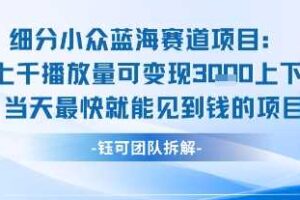 小众蓝海赛道项目：当天变现1k+适合新手操作 +适合长期玩