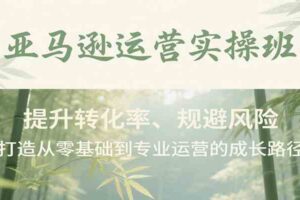 亚马逊运营实操班，提升转化率、规避风险，打造从零基础到专业运营的成长路径