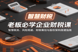 老板必学企业财税课：智慧税务、风险规避、财税筹划与股权架构搭建指南