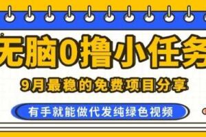 0学费0风险，2025风口项目，无脑免费撸，代发纯绿色视频，一部手机人人可做【揭秘】