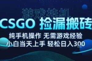 8月最新游戏搬砖，CSGO纯挂G，不需要玩游戏，实现真挂G，月入1W+【揭秘】