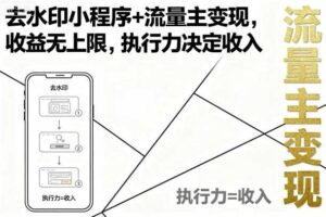 去水印小程序+流量主变现，收益无上限，执行力决定收入