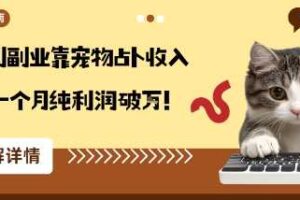 从兴趣到副业靠宠物占卜收入翻3倍一个月纯利润破W