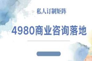 4980商业咨询师落地课程-ip运营高客单教程