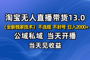淘宝无人直播13.0，公域私域技术，不封号，不违规 布局下半年旺季赛道，日入2000+