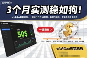 3个月实测稳如狗！wishlba最新项目，一键运行日入50美刀，单窗口躺挣，保姆级教程全给你【揭秘】