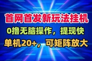 全网首发挂G,盒子自动賺米,单机20+,可矩阵放大,长期稳定运营【揭秘】