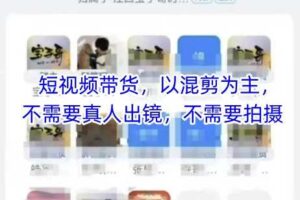 宝子哥头部团队短视频带货，以混剪为主，不需要真人出镜，不需要拍摄【更新11月】