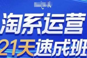 淘系运营21天速成班，0基础轻松搞定淘系运营，不做假把式，快速复制落地(更新26年1月)