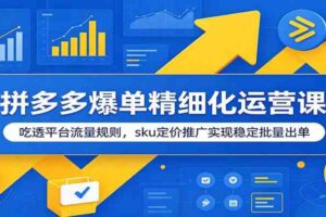 拼多多爆单精细化运营课:吃透平台流量规则,sku定价推广实现稳定批量出单