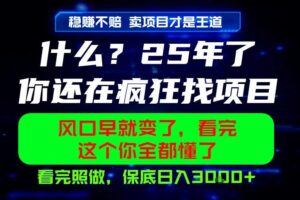 26年,请不要疯狂的找项目做了!卖项目才是真的稳賺不赔,看完照做,保底日入1k+【揭秘】