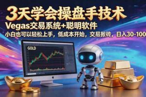 (19005期)三天学会操盘手技术,vegas技术+聪明软件,小白也可以轻松上手,日入500+