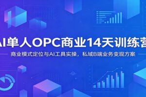 AI单人OPC商业14天训练营:商业模式定位与AI工具实操,私域B端业务变现方案